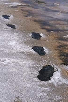 Brian Cox: Seven Days on Mars 2022