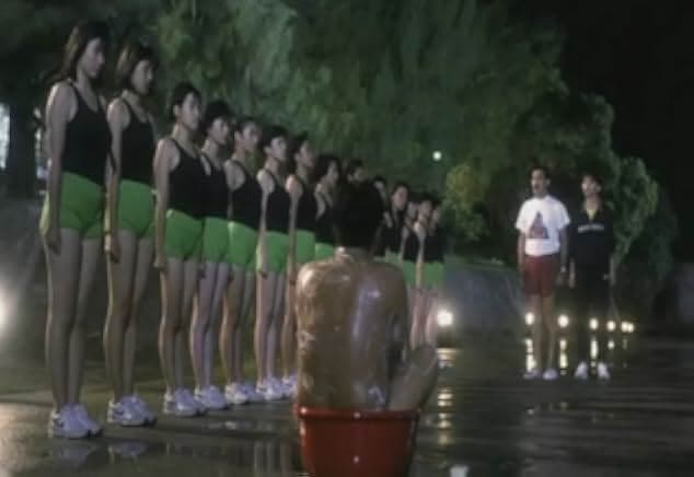 The Inspector Wears Skirts II 1989