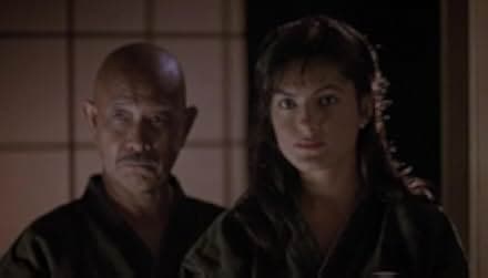 The Perfect Weapon 1991