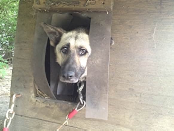 Breaking the Chain 2020