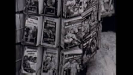 Forbidden Love: The Unashamed Stories of Lesbian Lives 1995