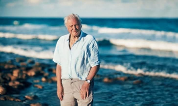 Attenborough and the Sea Dragon 2018