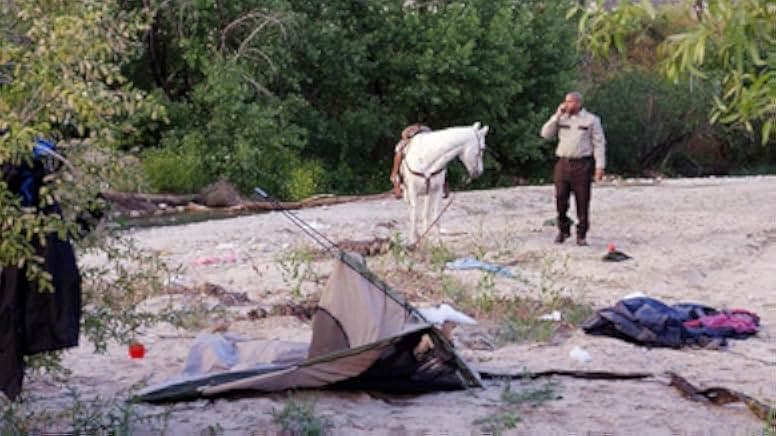 Big Freaking Rat 2020