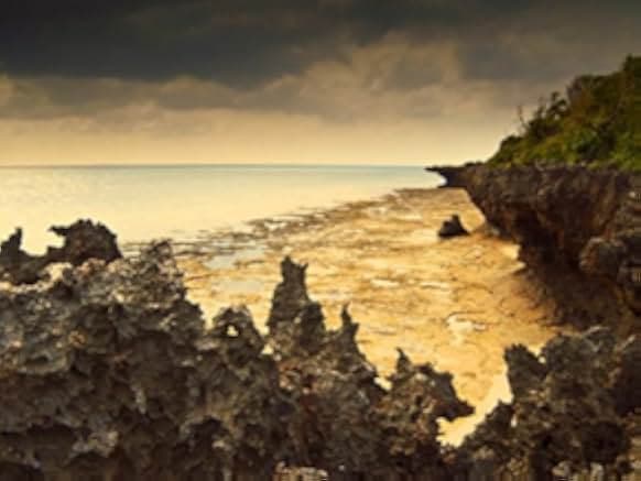 Wildest Islands 2012–