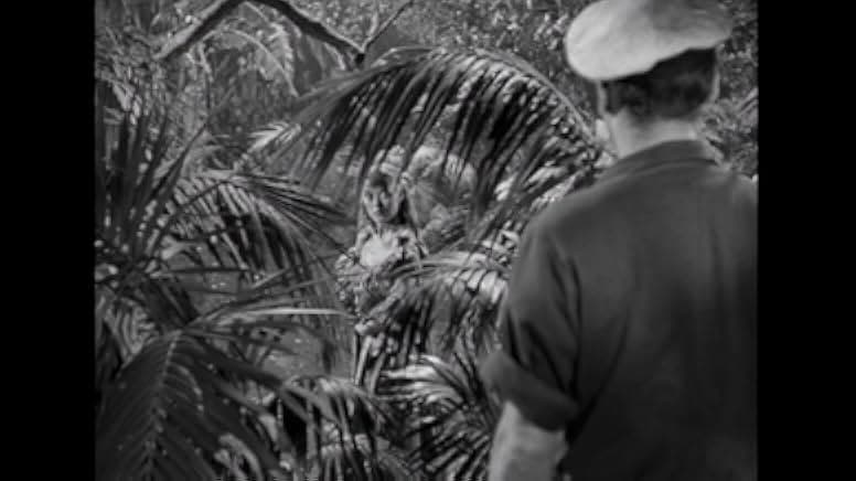 Wake of the Red Witch 1949