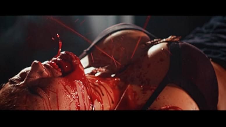 Pater Noster and the Mission of Light 2024