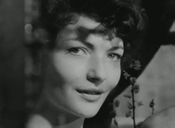 Diary of a Pregnant Woman 1958