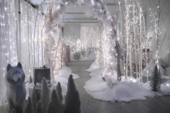 Sense, Sensibility & Snowmen 2019