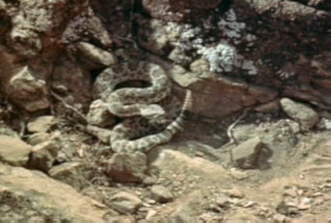 Broken Lance 1954