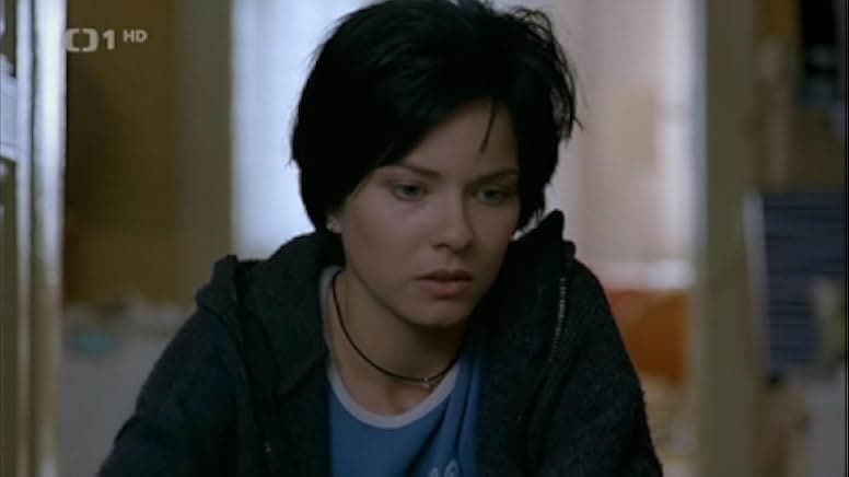 Príbehy obycejného sílenství 2005