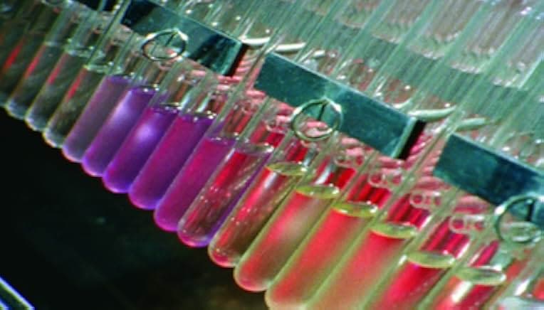 The Substance: Albert Hofmann's LSD 2011