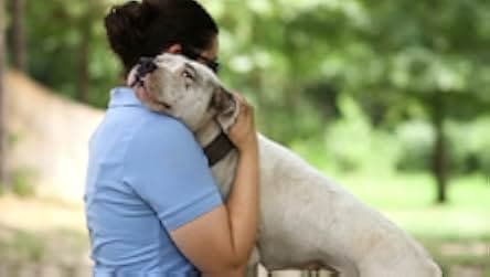 Breaking the Chain 2020