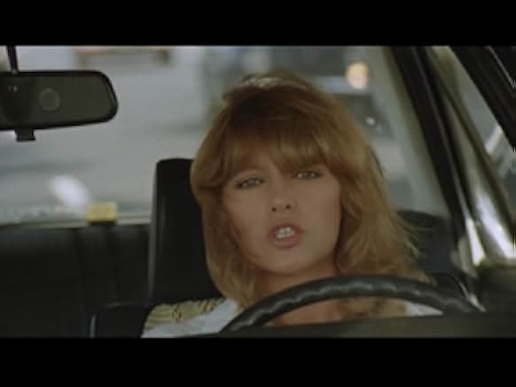 I gabbiani volano basso 1978