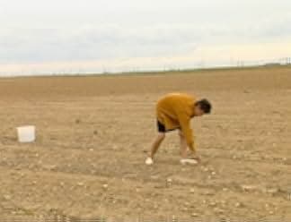 The Gleaners & I 2000