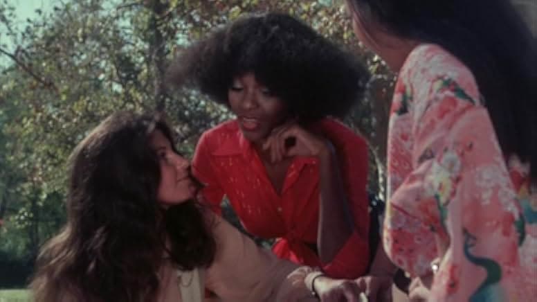 Angels' Brigade 1979