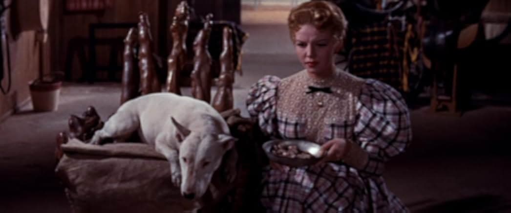 It's a Dog's Life 1955