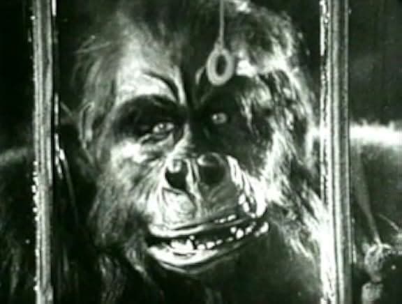 The Ape 1940