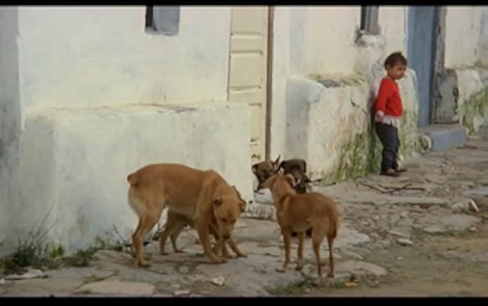 Los santos inocentes 1984