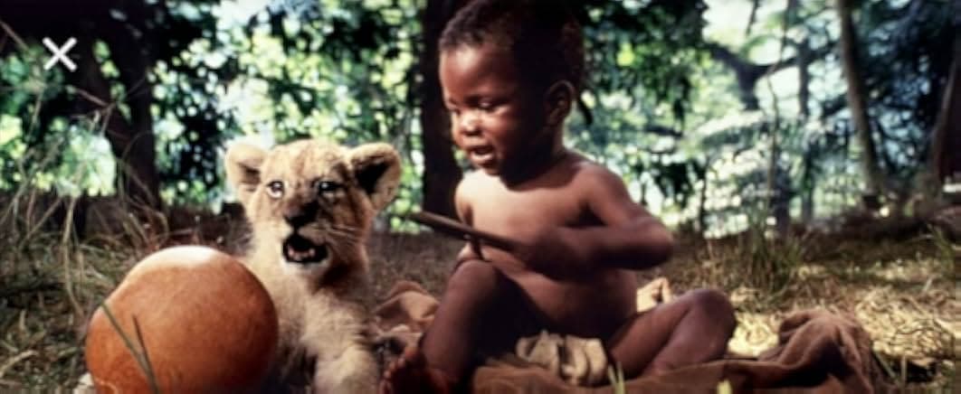 L'enfant lion 1993