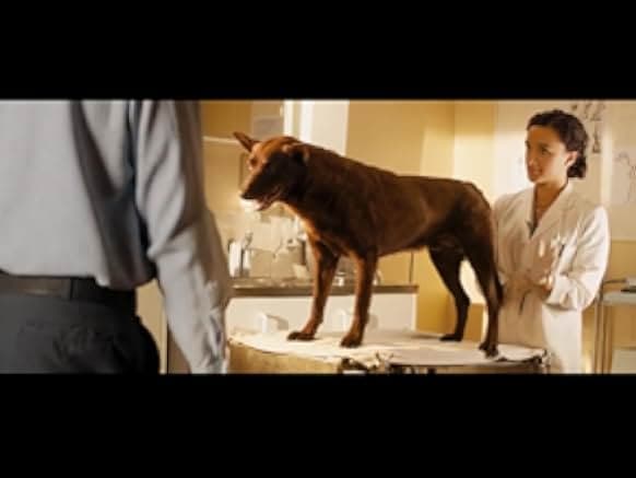 Red Dog 2011