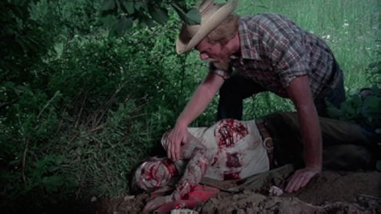 The Giant Spider Invasion 1975