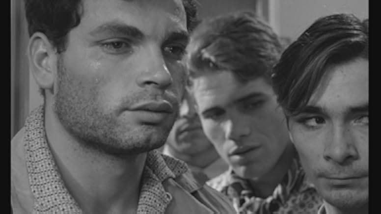 Violent Life 1962