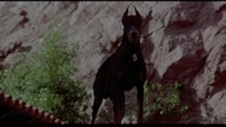 Nightkill 1980