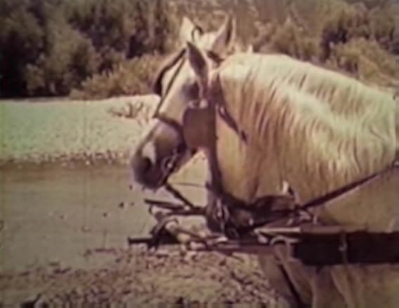 Gunfight in the Red Sands 1963