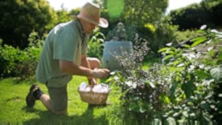 Living the Change: Inspiring Stories for a Sustainable Future 2018