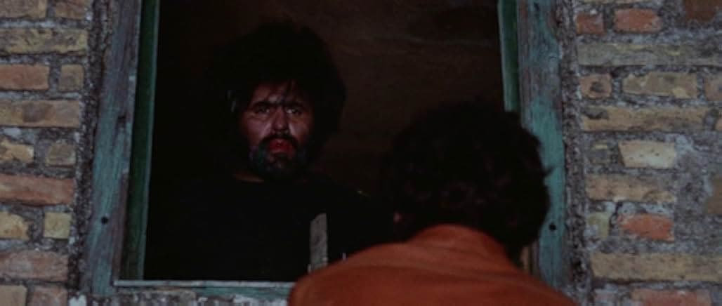 The Bird with the Crystal Plumage 1970