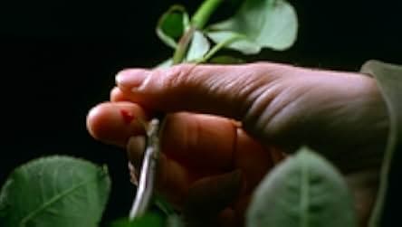 Vampire Journals 1997