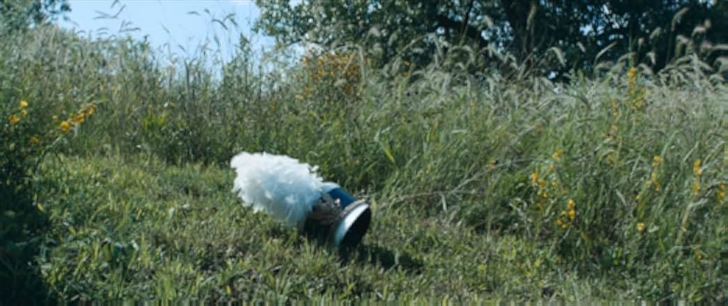 Knives and Skin 2019