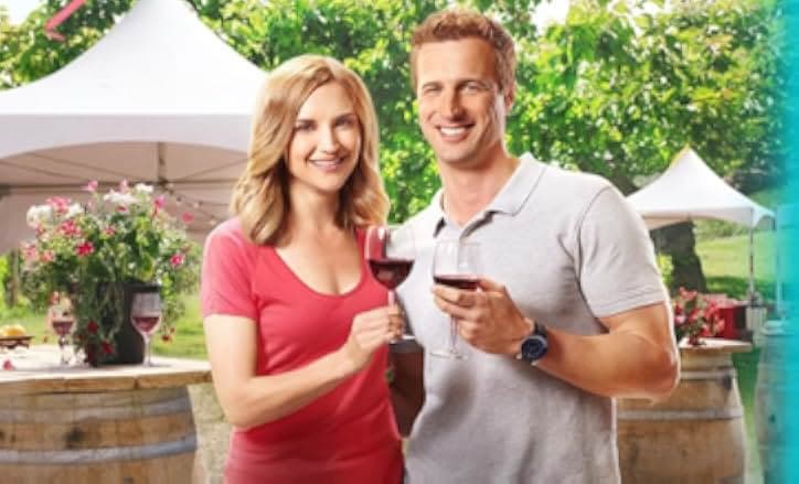 Summer in the Vineyard 2017