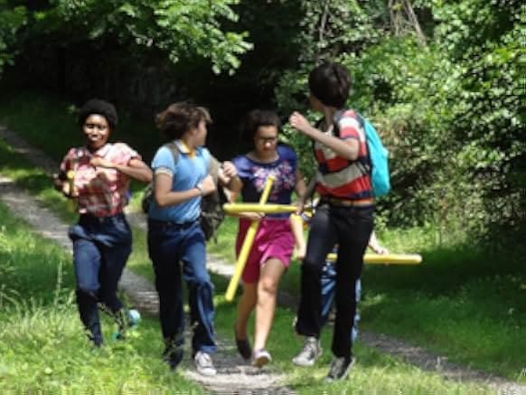 The Stream 2013