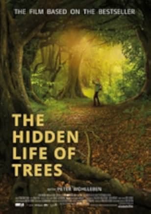 The Hidden Life of Trees 2021