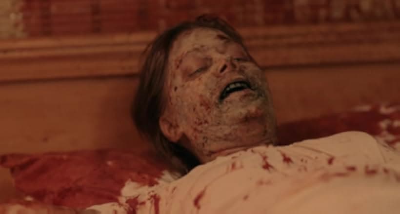 American Guinea Pig: The Song of Solomon 2017