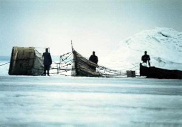 The Flight of the Eagle 1982