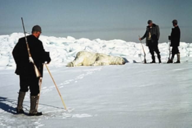 The Flight of the Eagle 1982