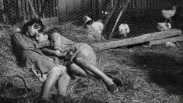 Die Abgründe 1963