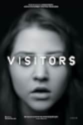 Visitors 2013