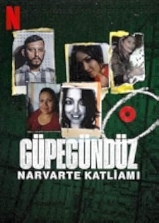 In Broad Daylight: The Narvarte Case 2022