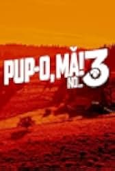 Pup-o MA! 3 NO... sau VARSTA BARBATULUI NEINFLORIT 2023
