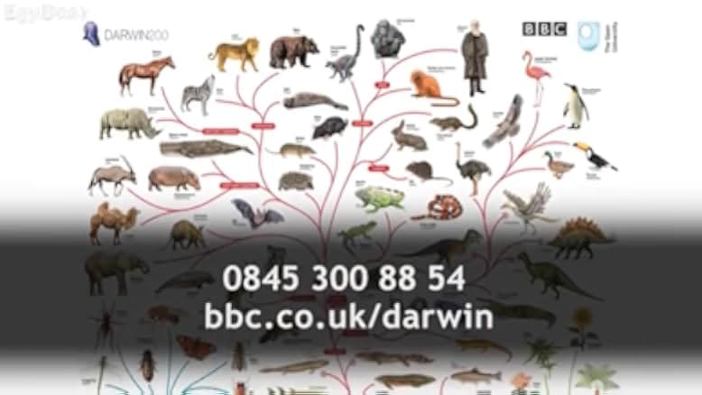 Charles Darwin and the Tree of Life 2009