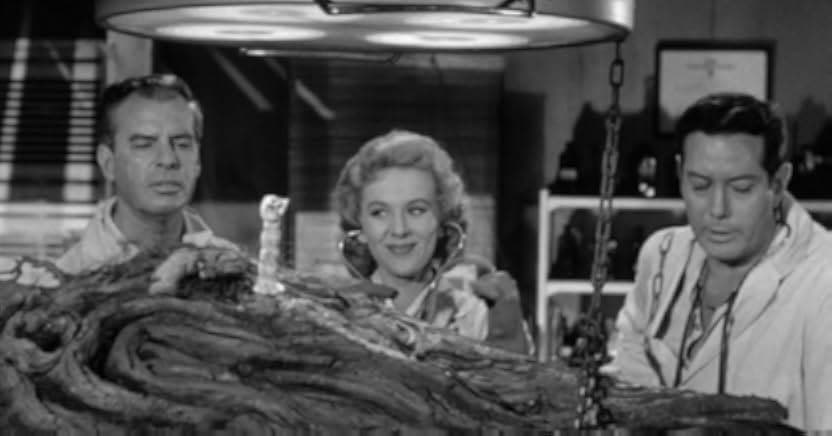 From Hell It Came 1957