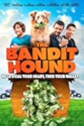 The Bandit Hound 2016