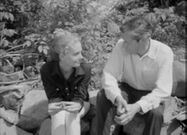 Don't Let the Angels Fall 1969