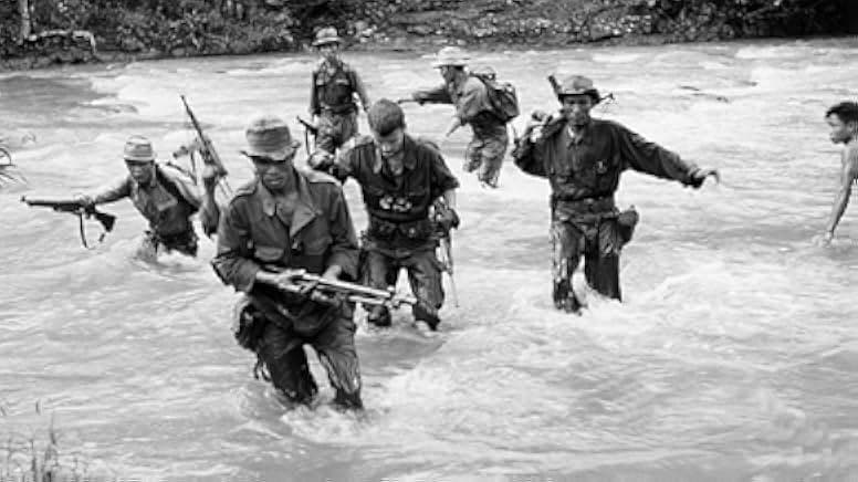 The 317th Platoon 1965