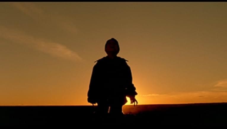 The Reflecting Skin 1990