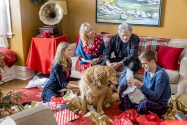 The Christmas Cure 2017