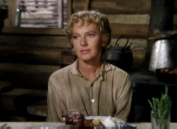 Shane 1953